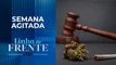 Plenário do Senado começa analisar PEC das Drogas | LINHA DE FRENTE