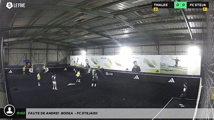 Faute de ANDREI	 BODEA  - FC STEJARII