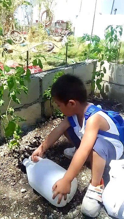 planting vegetables