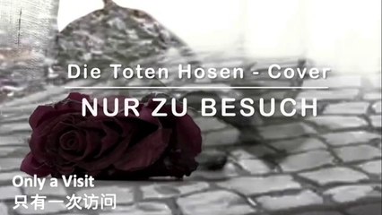 Nur zu Besuch - Cover, Boris Marten
