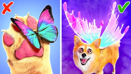 How To Make Dog fly? ‍♂️* Crazy Unboxing and Amazing Gadgets*