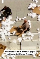 Une autoroute de Californie recouverte de papier toilette