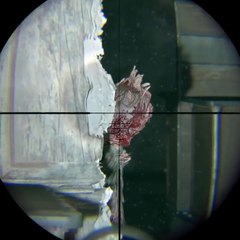 The Last of Us 2 PS5 Brutal Combat