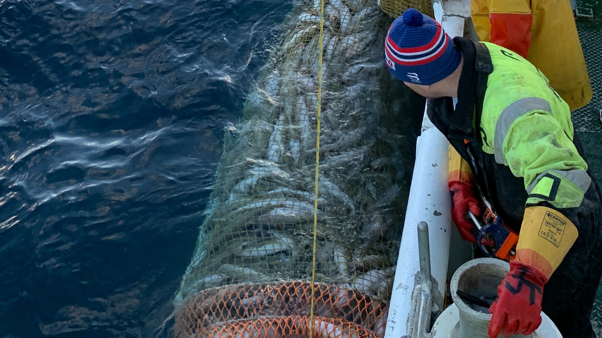As es la titnica pesca del bacalao skrei en Noruega