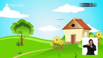 Paso a paso se obtiene lo que se quiere #24, 7º Tecnología Lección Educativa