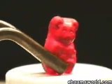 Gummy Bear in molten potassium chlorate