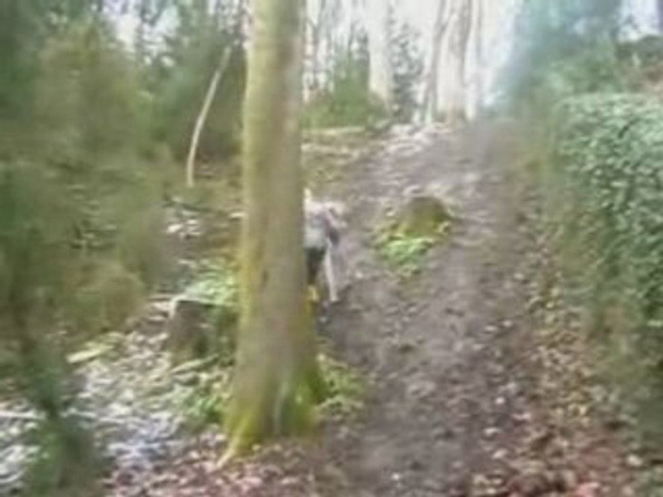 Deliras Entras Potas del'Ivernas [Partie 2]