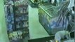 Guy Robs a Store with a Palm Tree
