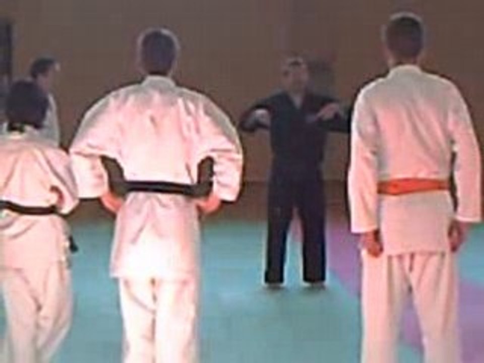 Karate_CLIP0039