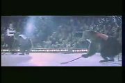 Viral  Bears Playing Ice Hockey