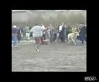 Ultimate Sheep Fighting Championship