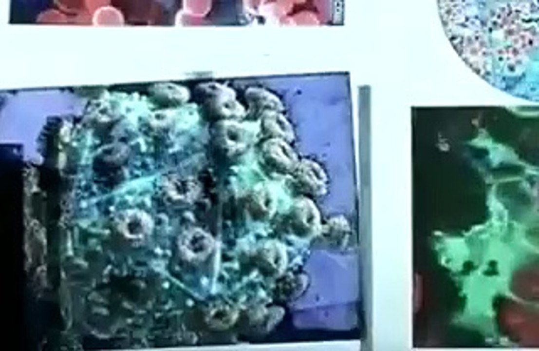 Face aux Serpents Bande-annonce (EN)