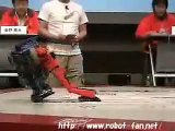 Pelea de robots