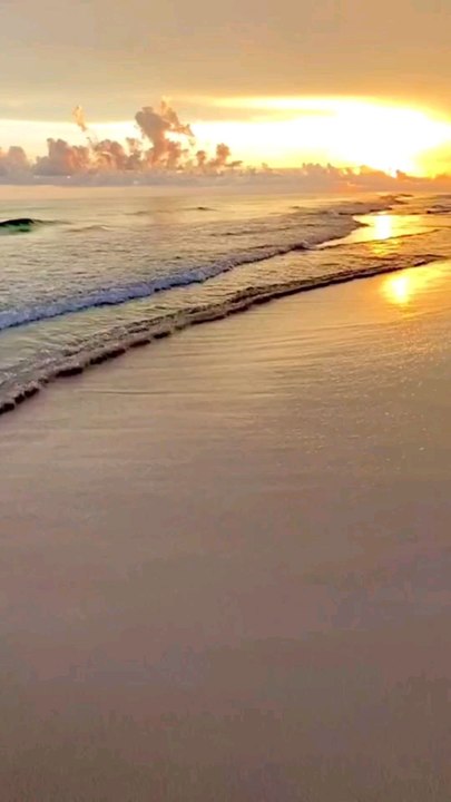 Believe in yourself. You are braver than you think, more talented than you know, and capable of more than you imagine.” — Roy T. Bennett