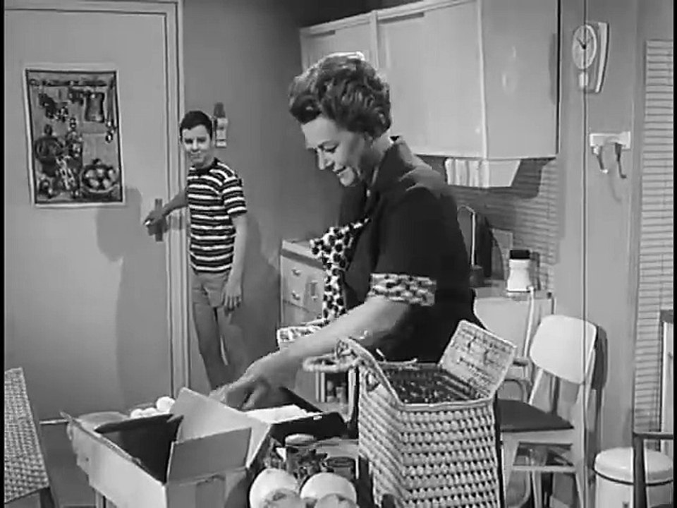 Die Bräute meiner Söhne - 05.Karin II haut ab (03.12.1965)