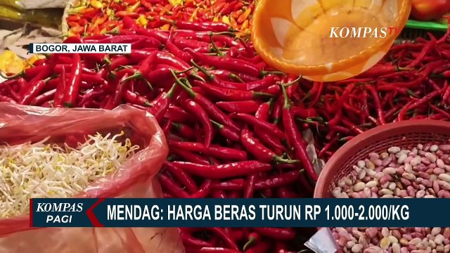 Mendag Zulhas Klaim Harga Beras di Kota Bogor Turun