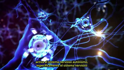 El impacto del estrés en tu cuerpo: un recorrido desde la cabeza hasta los pies - #ExclusivoMSP