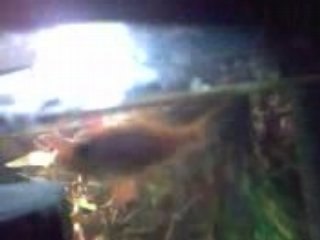 le dernier jugement du poisson rouge