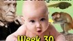 Fetal Development Week 30 (Pregnancy Health Guru)