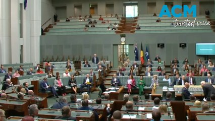 Gaza ceasefire protesters interupt Parliament question time