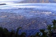 tsunami en chile 2010- marejada en niebla valdivia