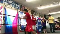 Manny Pacquiao on the mitts with Freddie Roach