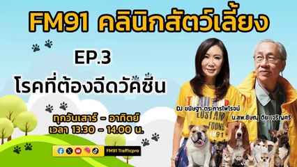 โรคที่ต้องฉีดวัคซีน EP.3 : FM91 คลินิกสัตว์เลี้ยง : 17 มีนาคม 2567