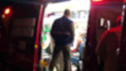 Duas mulheres são atacadas por cão Pit Bull no Brasília