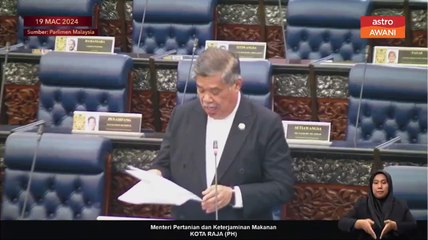 Langkah-langkah mengurangkan kesan musim panas terhadap tanaman padi