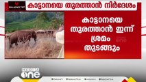 മയക്കുവെടി വയ്ക്കില്ല; മൂന്നാറിൽ പടയപ്പയെ ഉള്‍കാട്ടിലേക്ക് തുരത്താൻ DFOയ്ക്ക് നിർദേശം