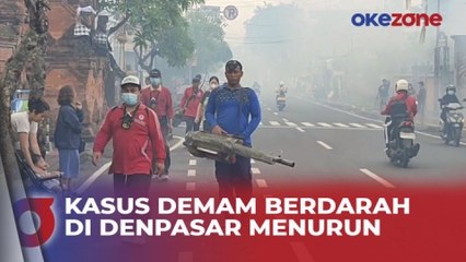 Dinas Kesehatan Kota Denpasar Klaim Kasus Demam Berdarah Menurun