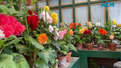 Bathurst Begonia House