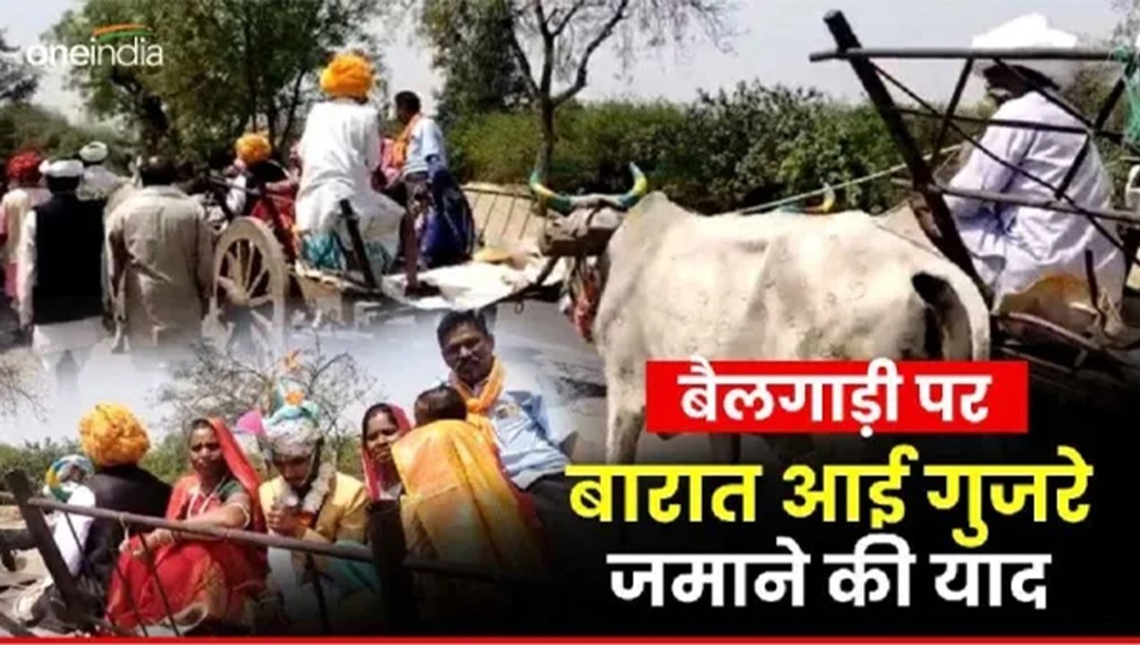Jhabua News: अपनी दुल्हन को लेने बैलगाड़ी पर सवार होकर पहुंचा दूल्हा, हैरान रह गए झाबुआ के लोग