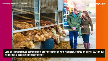 Kate Middleton souriante avec William dans une ferme : la vidéo dévoilée ! "Elle avait l'air soulagée, comme si c'était un succès..."