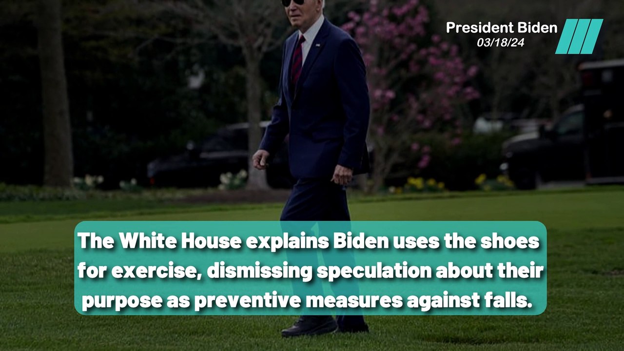 Hoka Transport: Biden's Secret Weapon for Stability?