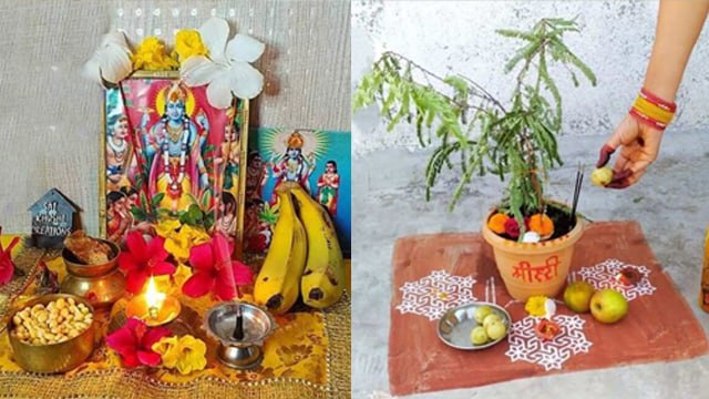 Amla Ekadashi 2024: आंवला एकादशी व्रत कैसे करें | आंवला एकादशी पूजा विधि | Boldsky