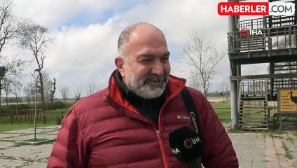 Leylek Ormanı şenlendi: 7 bin kilometre uçup geldiler