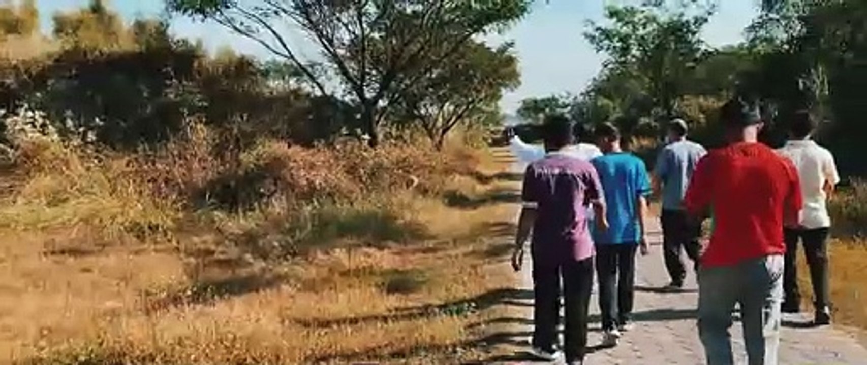 Cinema Walk