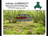 SAMRIOGLU Hazelnuts and Dried Fruits Export