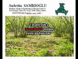 Turkish Hazelnuts and Dried Fruits Varieties  - SAMRIOGLU Hazelnuts and Dried Fruits Export