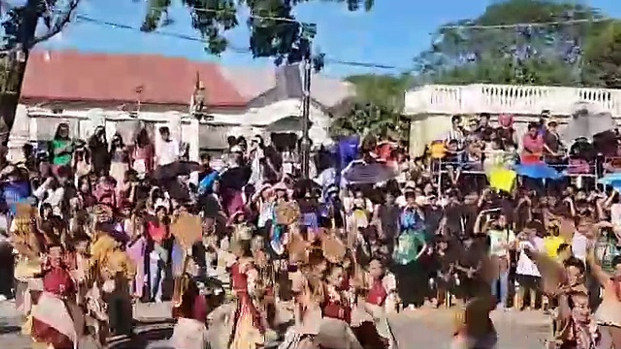 Viva vigan