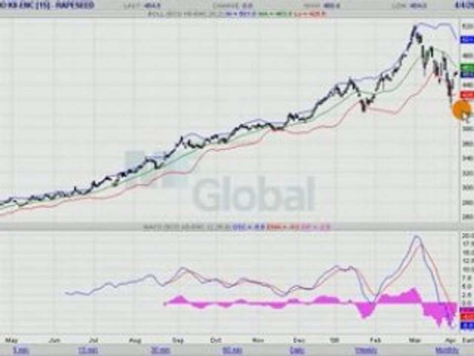 COLZA EURONEXT 6.04.08