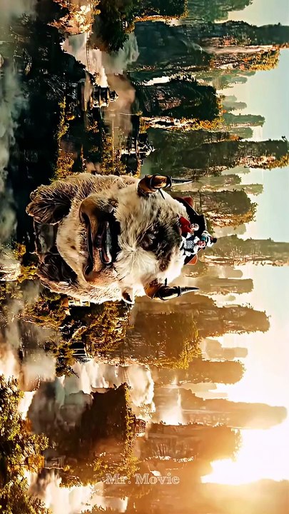 Avatar The lost air bender movie scene