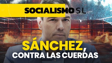 Sánchez contra las cuerdas: todas las barreras que la UE pone a su amnistía