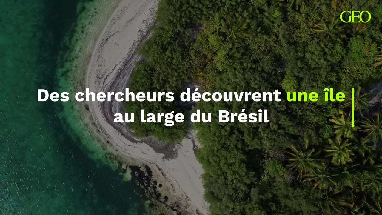 Des chercheurs découvrent une île au large du Brésil