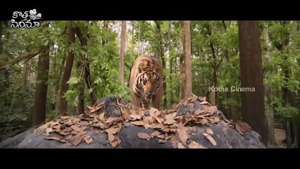 Mohanlal Biggest Blockbuster Tiger Fight Scene -- Namitha -- Telugu Movies -- Kotha Cinema