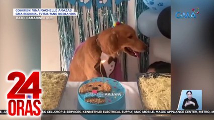 Nakawalang alagang aso, patay nang paghahampasin ng kapitbahay | 24 Oras