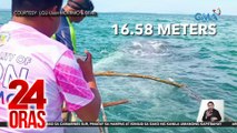 Sperm whale, inanod sa dagat na sakop ng Uson, Masbate | 24 Oras