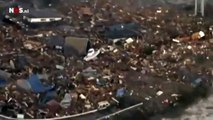Perro trata de huir de tsunami en Japón