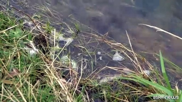 Giornata mondiale dell'acqua, nuovo report di Greenpeace Italia